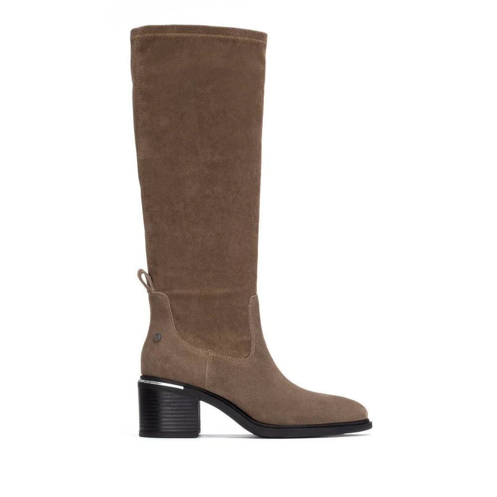 Carmela - 162646 Taupe Suede Sock Boot