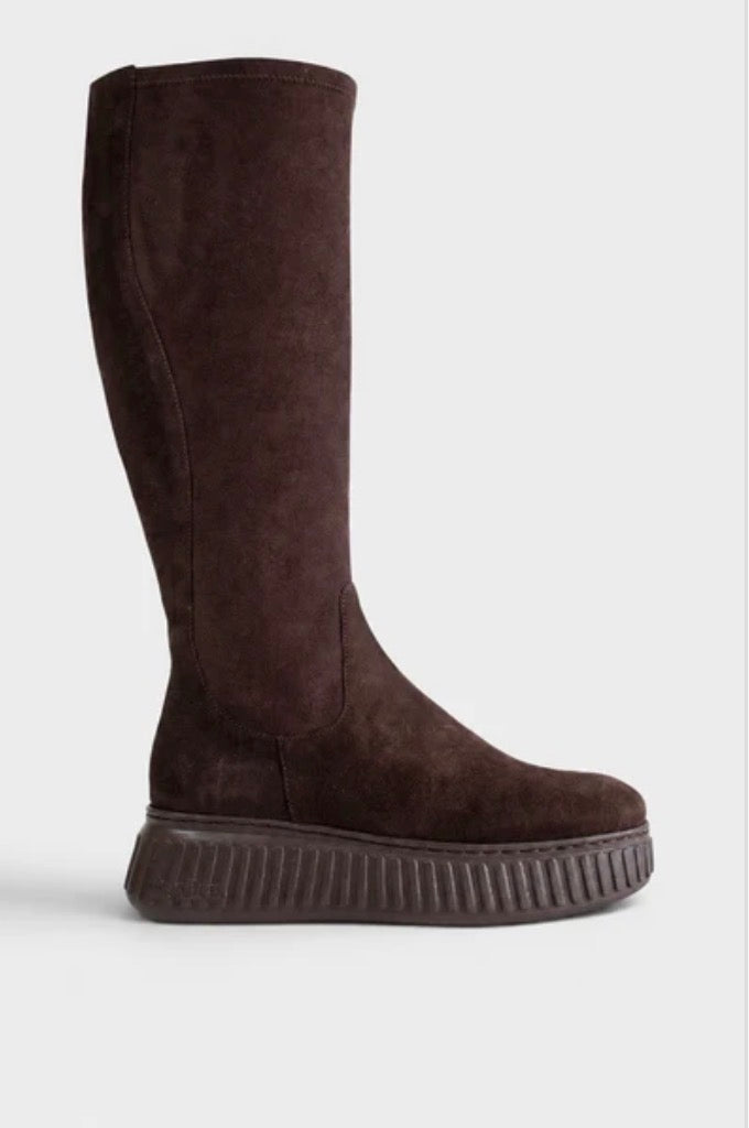 Wonders - A-5204 Brown Suede Knee High Boots