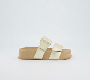 Paul Green - 6157 Gold Mule