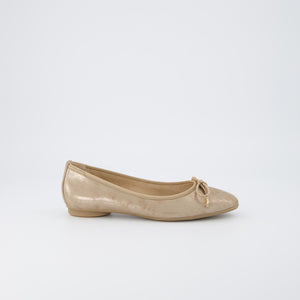 Paul Green - 2925 Gold Pump