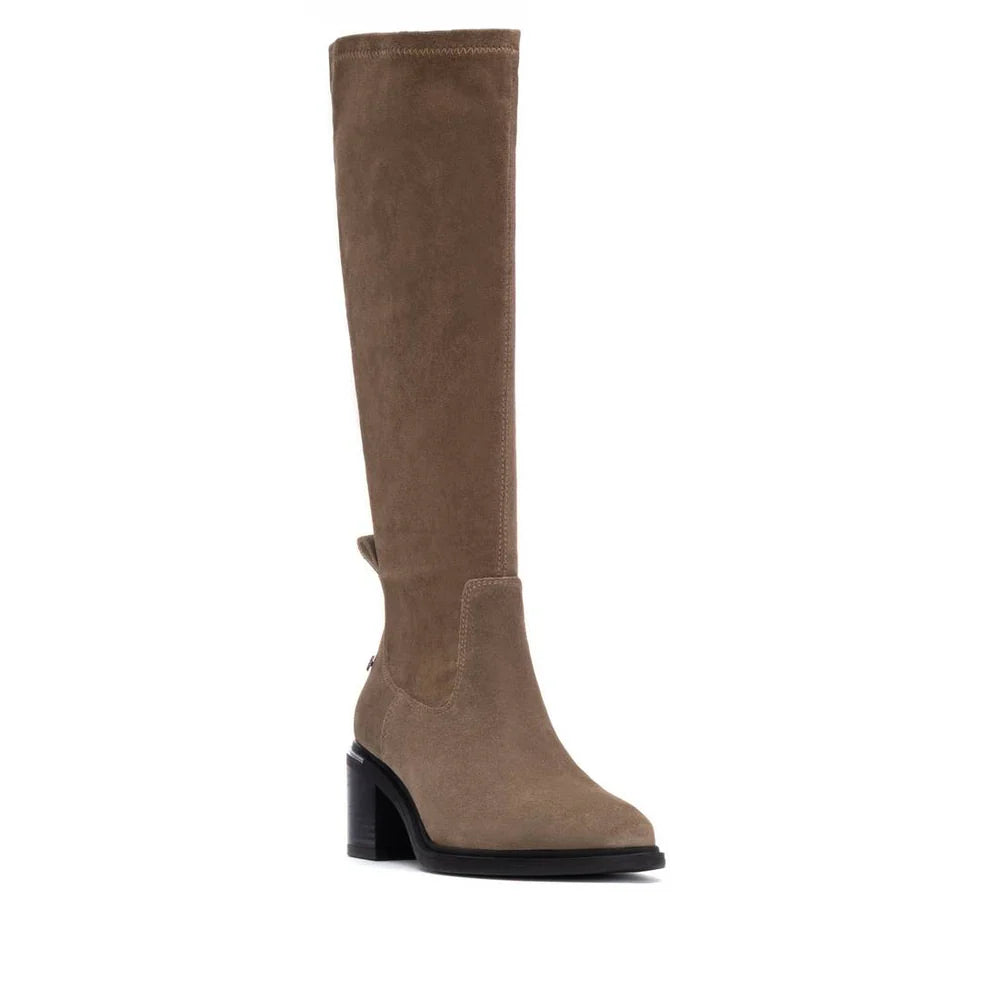 Carmela - 162646 Taupe Suede Sock Boot