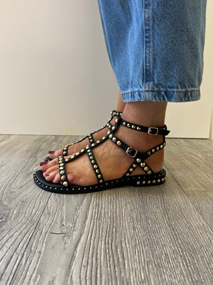 Ash - Precious Black Gold Stud