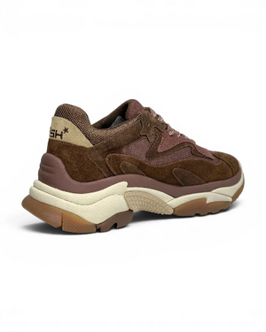 Ash - Addict Brown/Burgundy Trainer