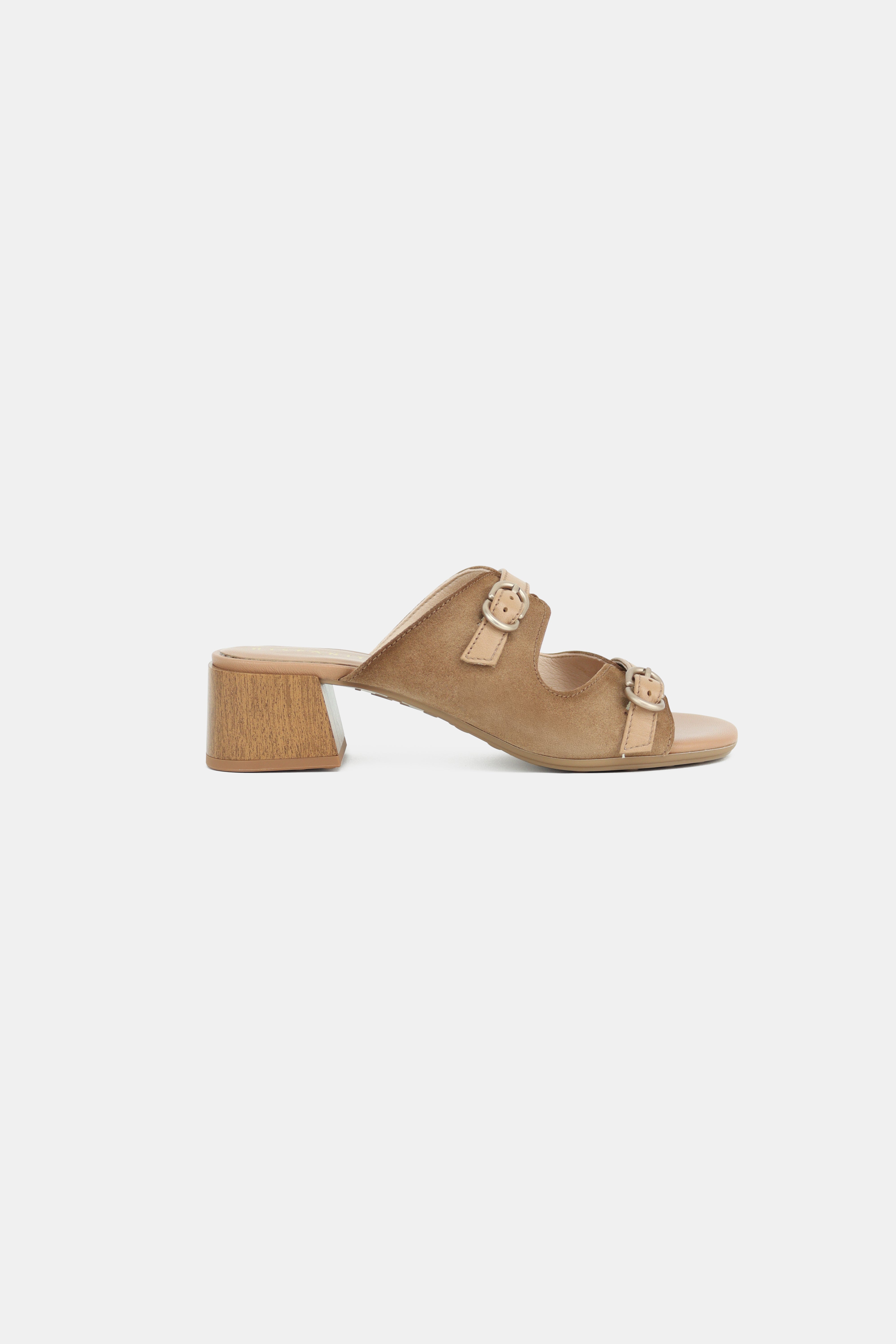 Hispanitas - HV264833 Tan Mule