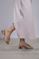 Lodi - A -Piscis Beige/Gold Slide