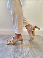 Hispanitas - HV264814 Gold Buckle Sandal