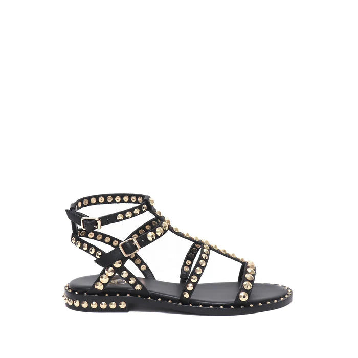 Ash - Precious Black and Gold Stud Gladiator