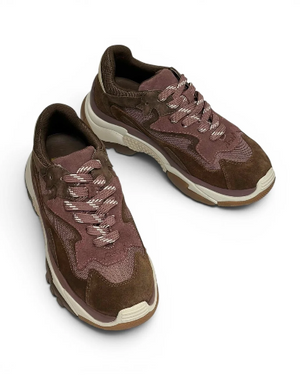 Ash - Addict Brown/Burgundy Trainer