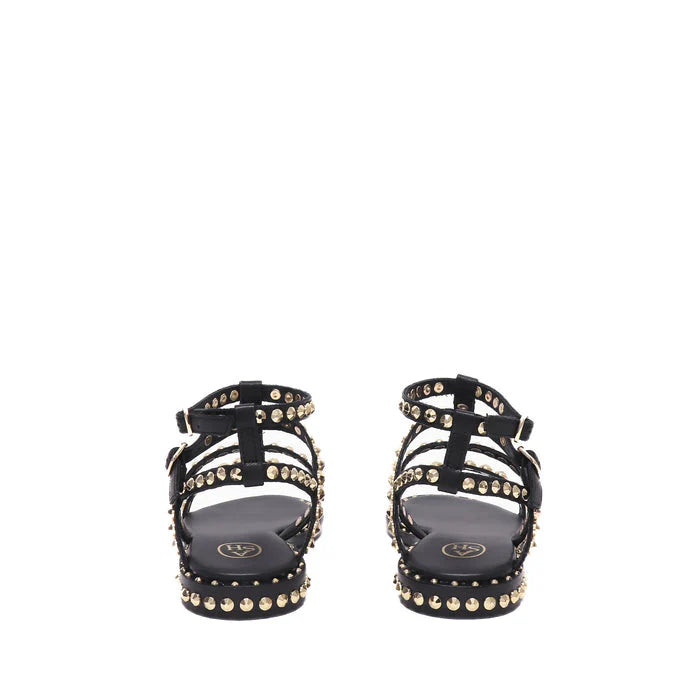 Ash - Precious Black and Gold Stud Gladiator