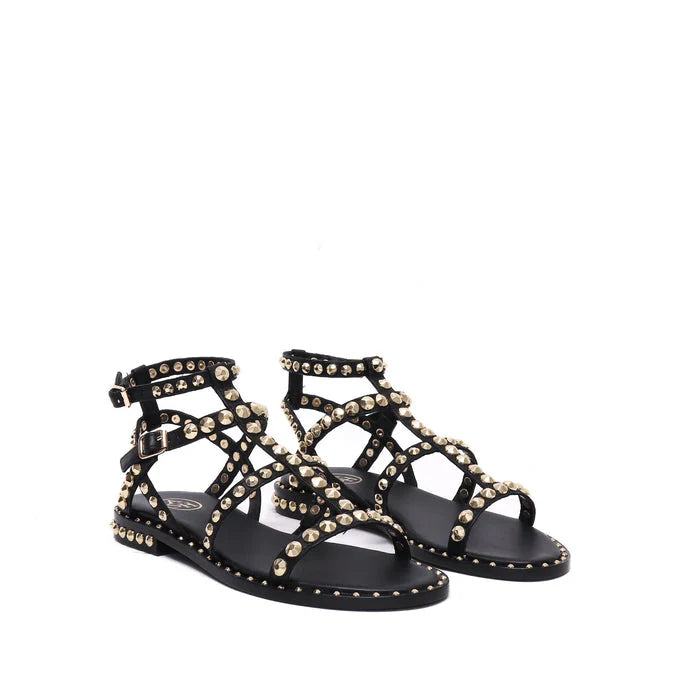 Ash - Precious Black and Gold Stud Gladiator