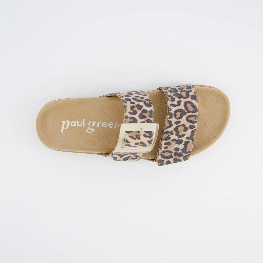 Paul Green - 6157-00 Leopard Slider