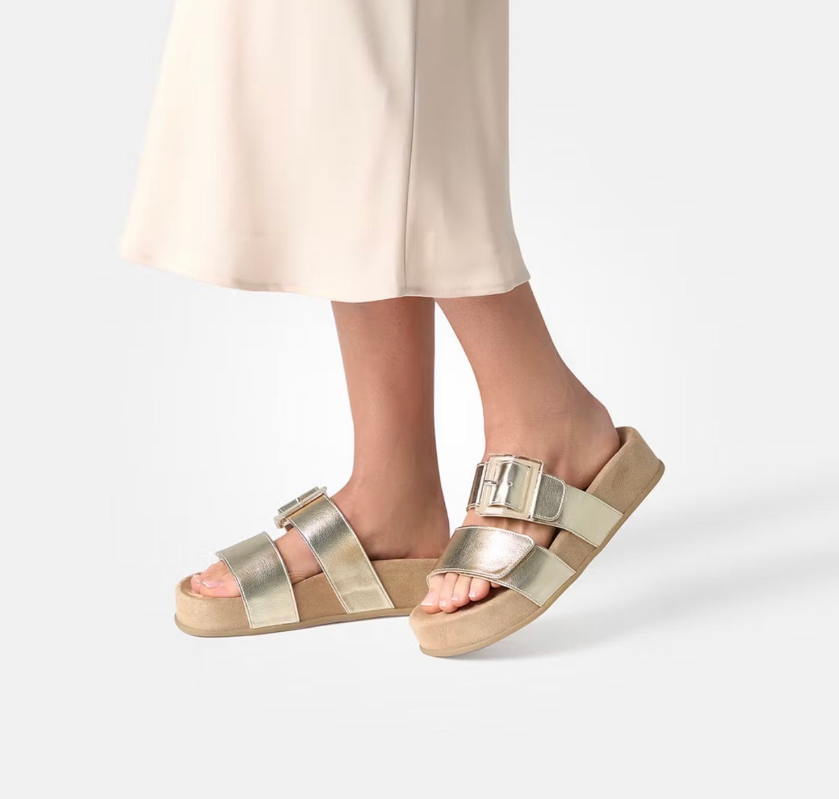 Paul Green - 6157 Gold Mule