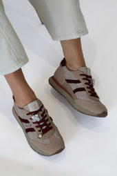Teddy Smith - 121126 Taupe & Burgundy Trainer