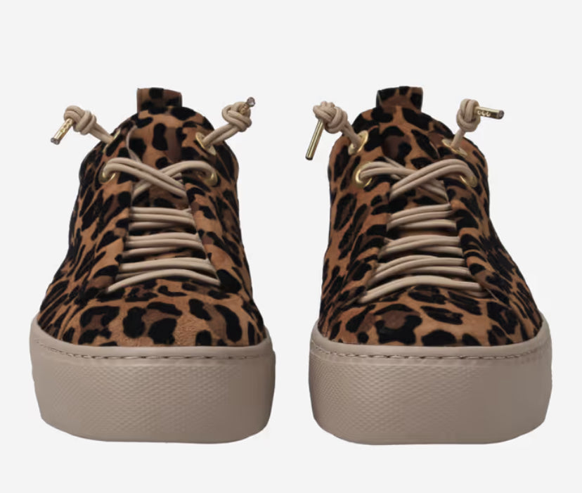 Paul Green - 5317-02 Leopard Print Elastic Trainer