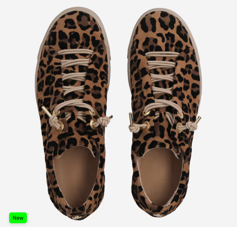 Paul Green - 5317-02 Leopard Print Elastic Trainer