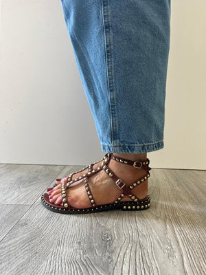 Ash - Precious [Marsala] Chestnut Stud Gladiator