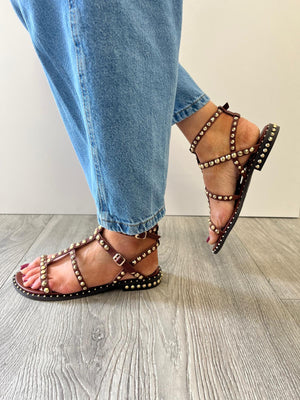 Ash - Precious [Marsala] Chestnut Stud Gladiator
